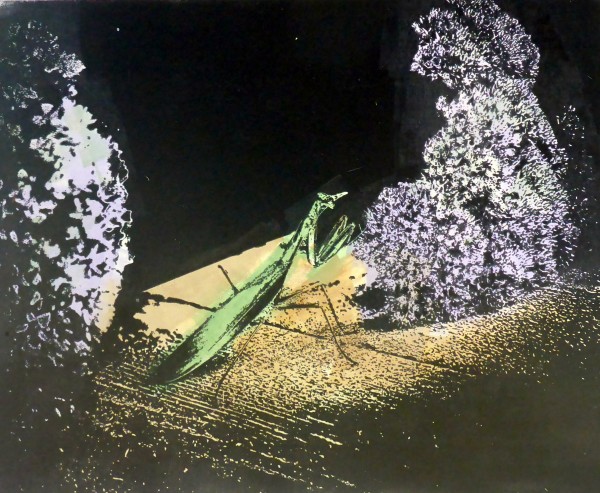 Praying Mantis by dennis gordon