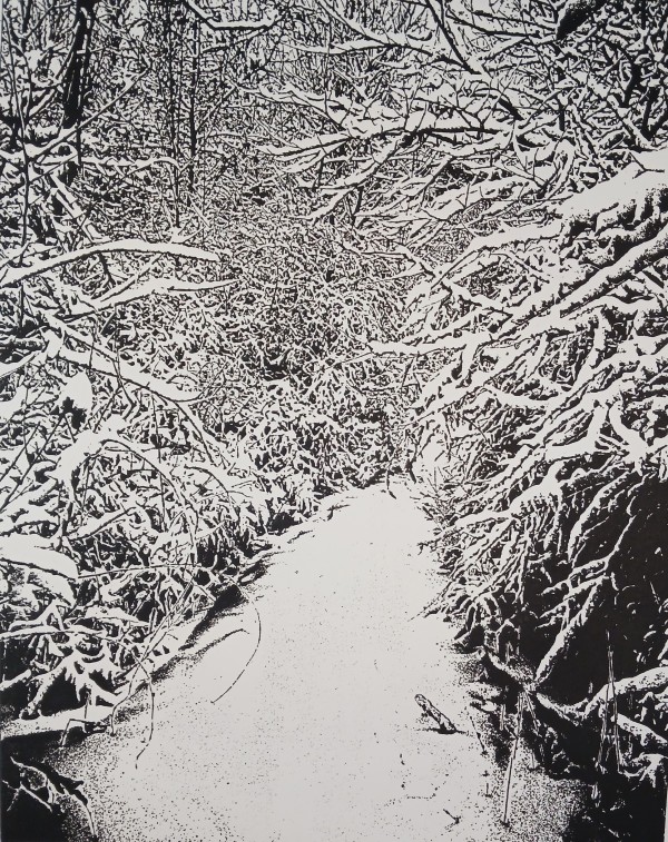 Snowy Path by dennis gordon
