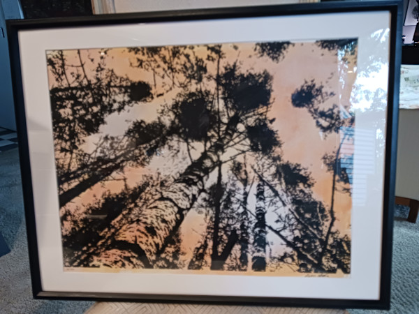 Sunrise Lookup by dennis gordon