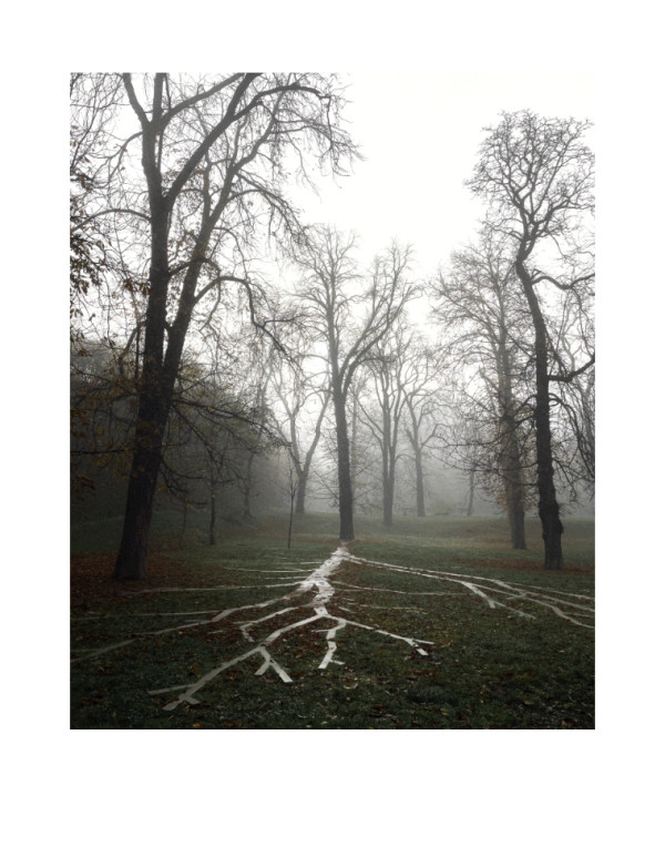 Mystery among the trees / Záhada mezi stromy by Martin Slavíček