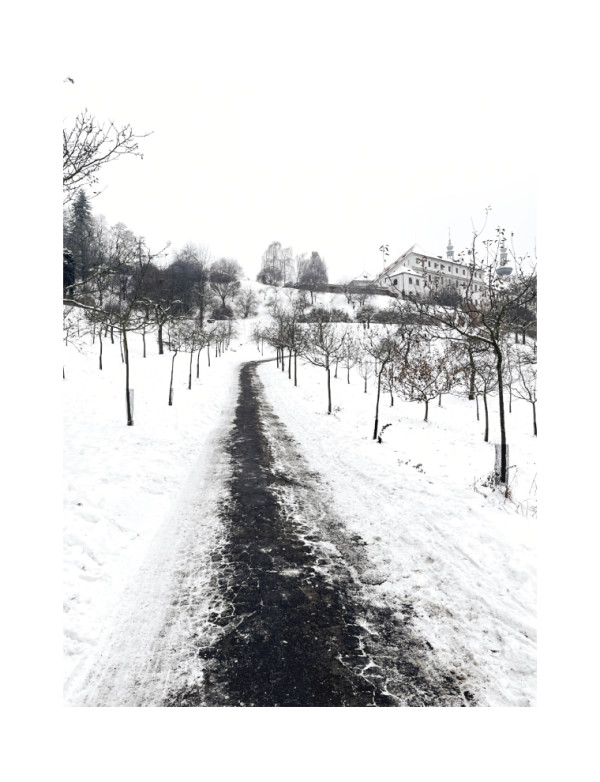 tree lined / lemováno stromy by Martin Slavíček