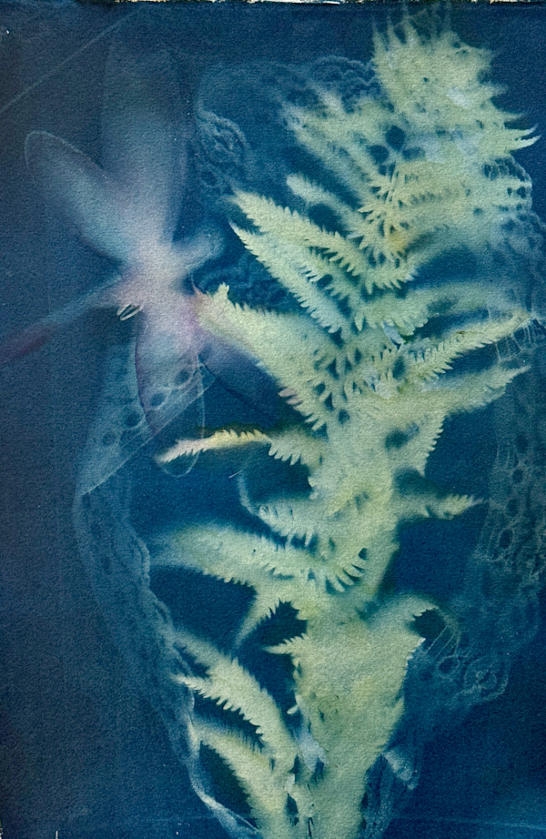 Dragonfly, Fern, and Lace by Cheryl Ann Boc-Chidester