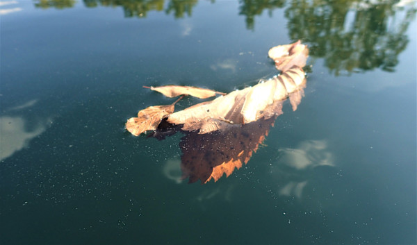 Stillness by Cheryl Boc-Chidester