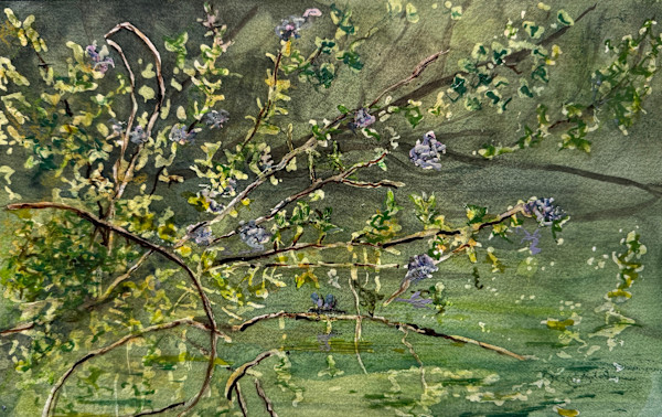 Branches' Reflecting Song by Cheryl Ann Boc-Chidester, Image 1.