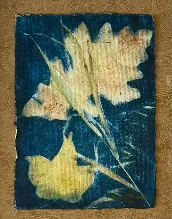 Maple & Oak by Cheryl Ann Boc-Chidester, Image 1.