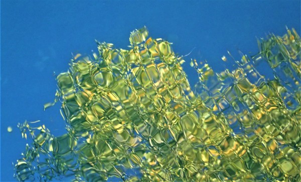 Light and Water Interpreted by Cheryl Ann Boc-Chidester