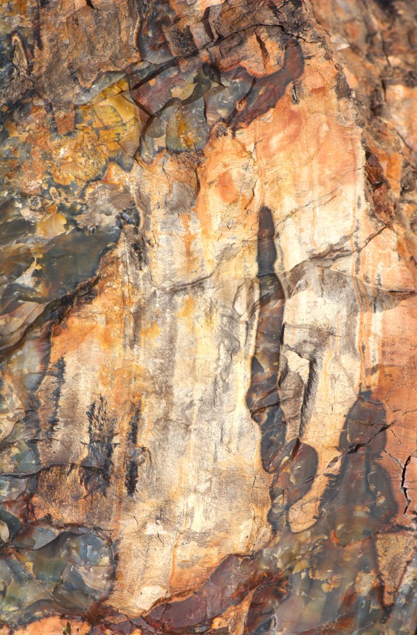Petrified #3 by Cheryl Ann Boc-Chidester