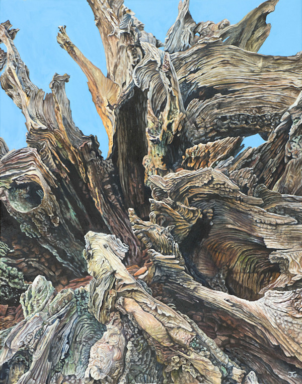Hidden Architecture by Jackie Gwyther, Image 1.
