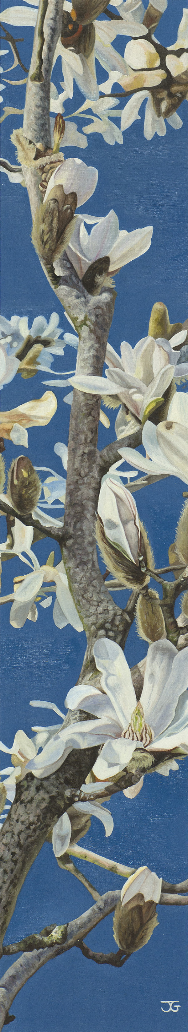 Ballerina by Jackie Gwyther