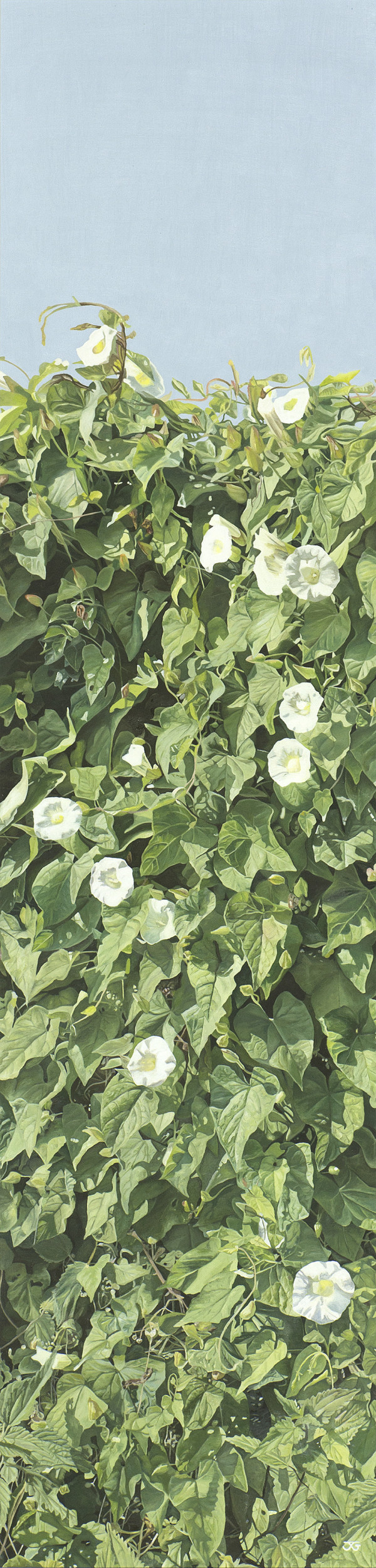 Disregarded Beauty 1/50 by Jackie Gwyther