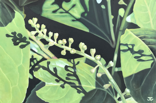Flowering Laurel by Jackie Gwyther
