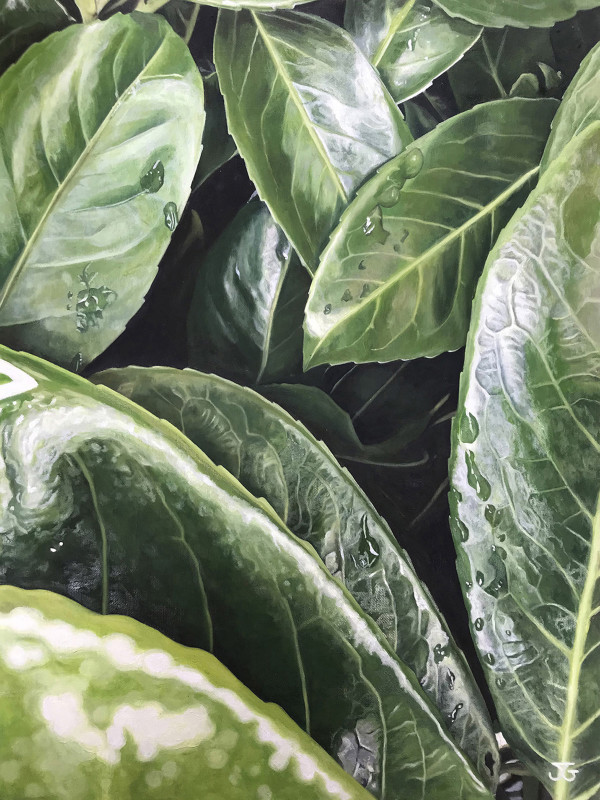 Nature's Secrets by Jackie Gwyther