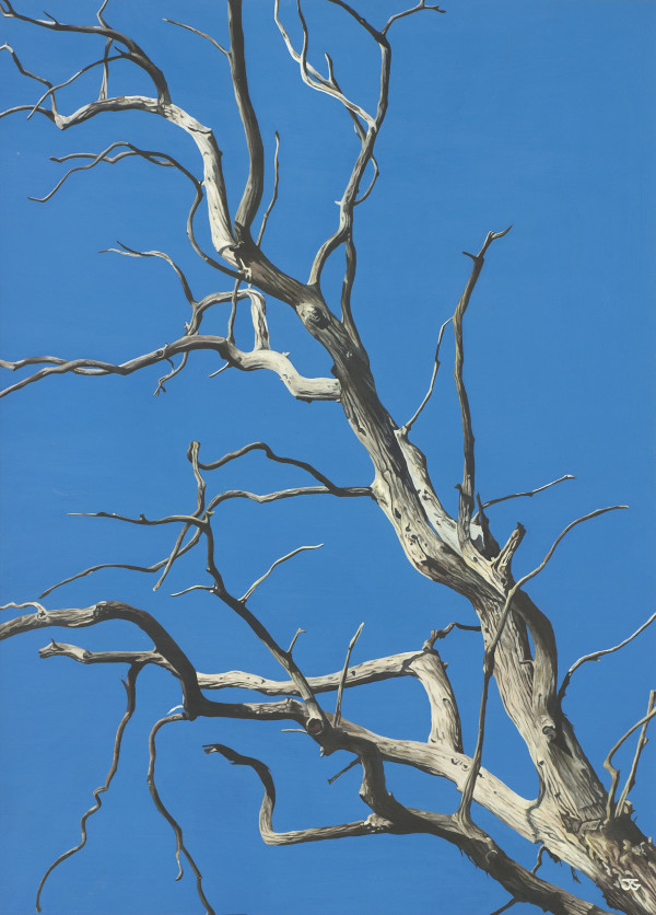 Past Glory 4/50 by Jackie Gwyther