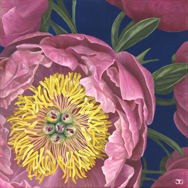 Peony by Jackie Gwyther