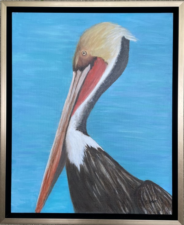 Louisiana Pelican by Elizabeth Flatt