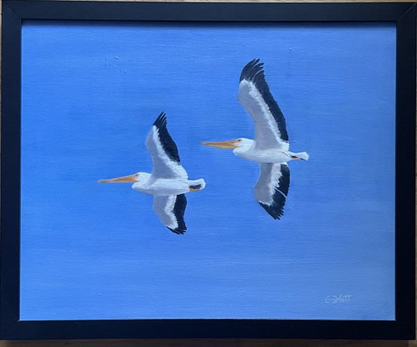 Pelicans in Flight by Elizabeth Flatt