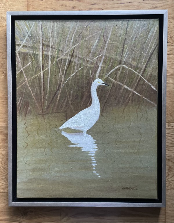Egret, Davis Bayou by Elizabeth Flatt