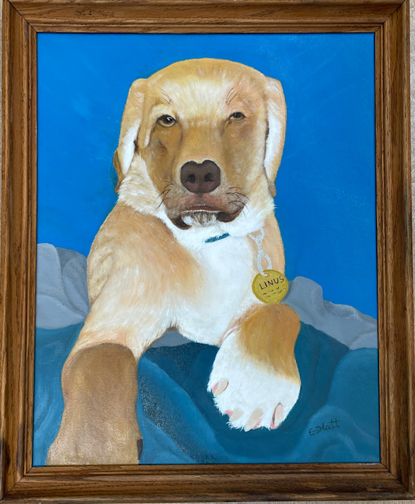 Linus Has An Attitude by Elizabeth Flatt