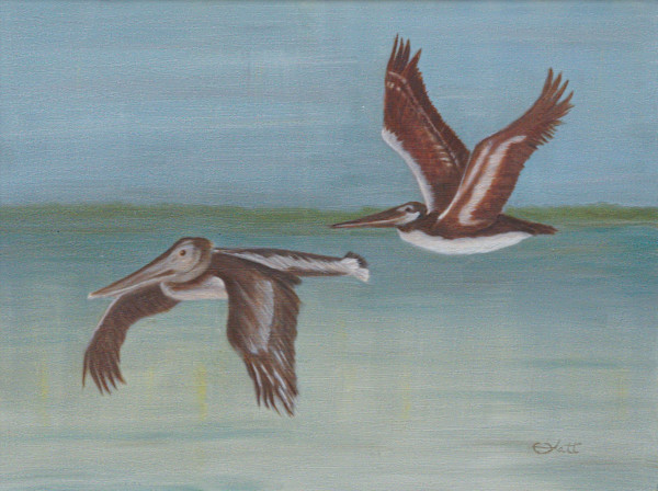 Pelicans in Flight by Elizabeth Flatt