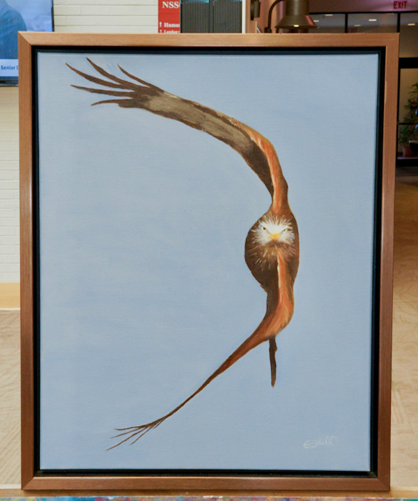 The Hawk by Elizabeth Flatt