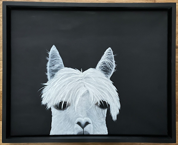Dolly Llama by Elizabeth Flatt, Image 1.