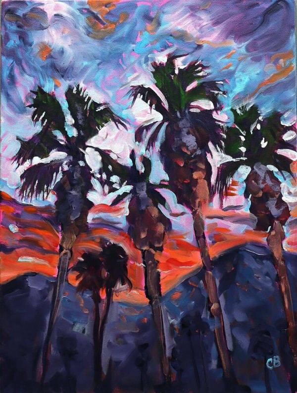 Palm Springs Sunset by Craig Barnes Fine Art