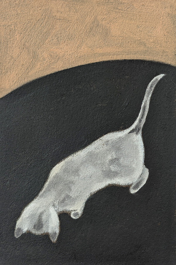 Kitten by Kari Breitigam