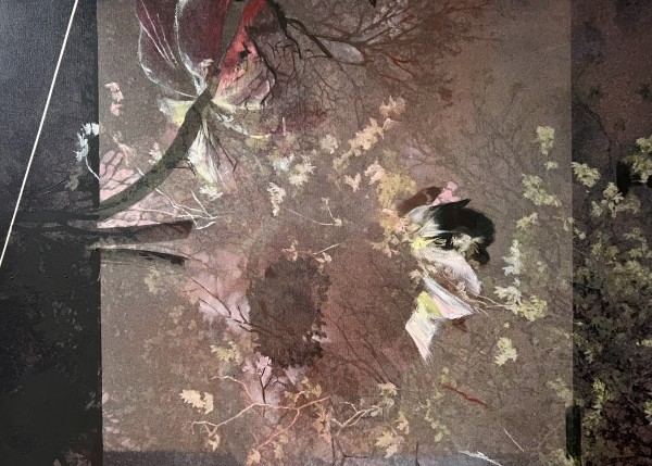 Atlas of rare and familiar by Deborah Moss Marris