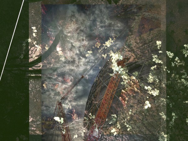 Half light by Deborah Moss Marris