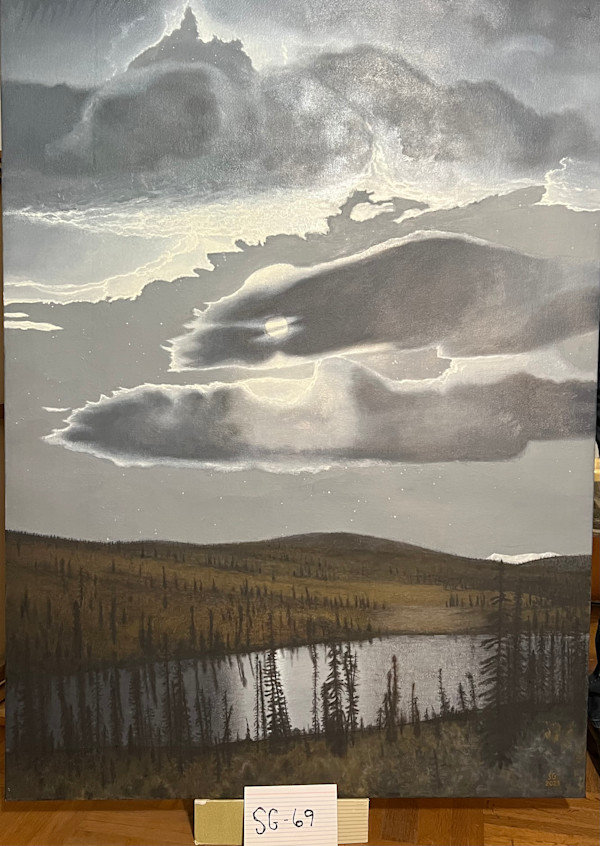 Moonlight near Nabesna by Spence Guerin