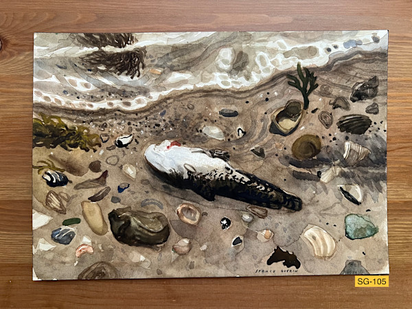 Small Dead Fish by Spence Guerin