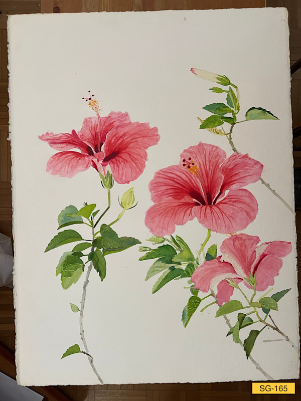 Untitled by Spence Guerin