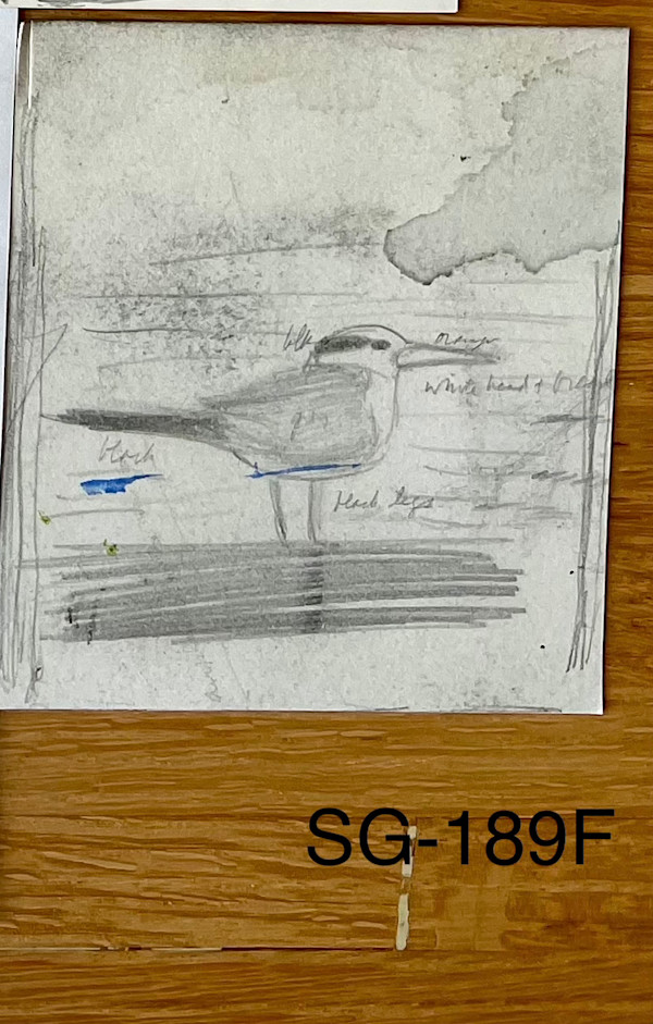 Untitled by Spence Guerin