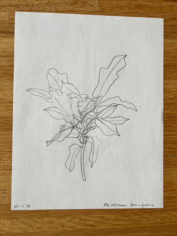 For Momma. Love - Spence by Spence Guerin