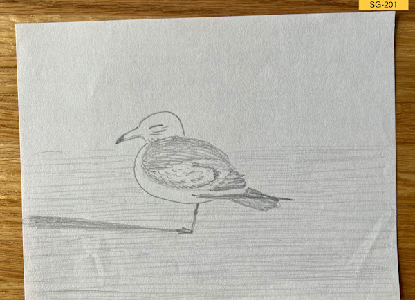 Untitled by Spence Guerin