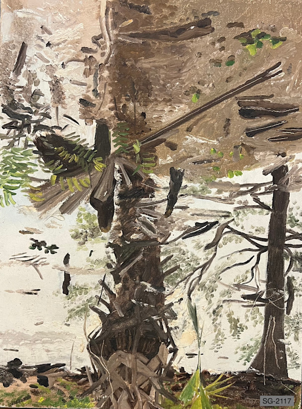 Untitled (landscape reflection) by Spence Guerin