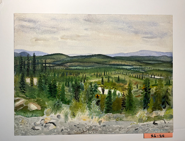 Summertime, Denali Highway, Alaska by Spence Guerin
