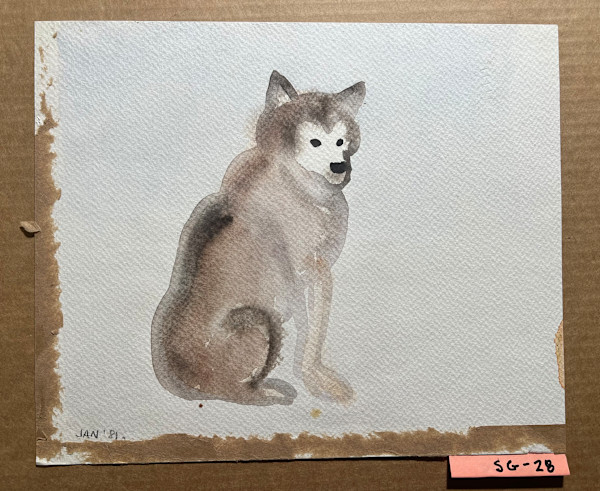 Husky Sled Dog by Spence Guerin