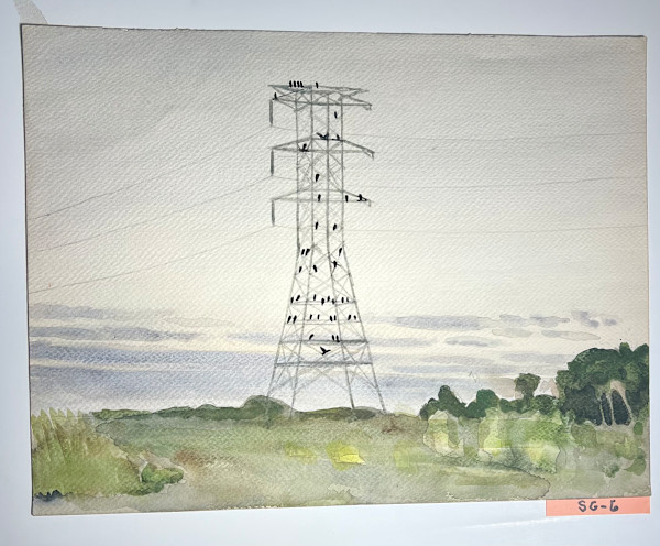 Buzzard Roost on Electrical Tower by Spence Guerin