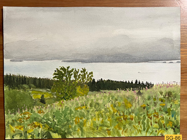 Overlooking Kachemak Bay, Homer, Alaska by Spence Guerin