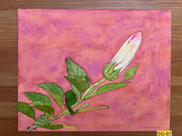 Hibiscus Bud, Cobalt Violet by Spence Guerin