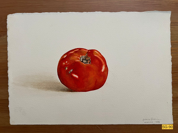 Gorgeous Ripe Tomato by Spence Guerin