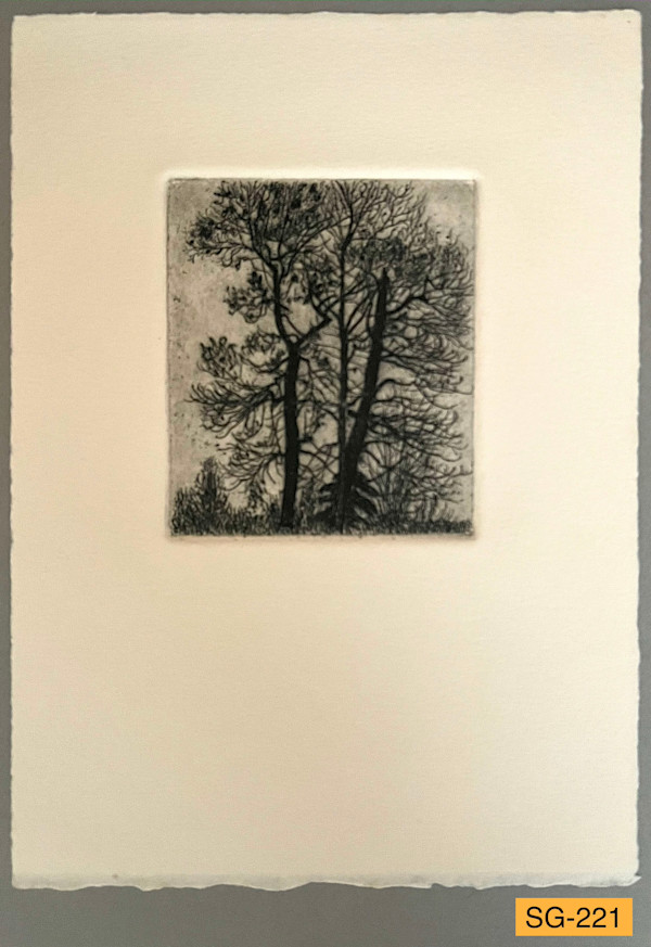 Mielke's Big Cottonwoods #1 by Spence Guerin