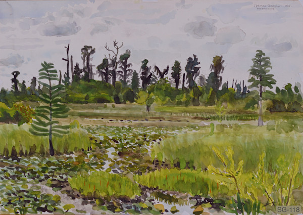 Okefenokee by Spence Guerin