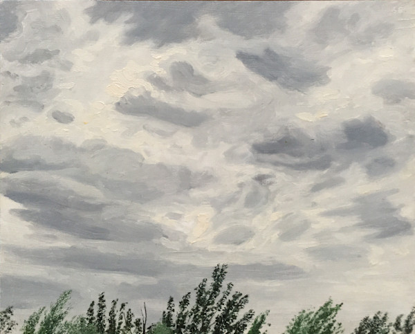 Windy Sky Treetops by Spence Guerin