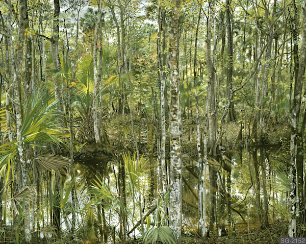 Tootoosahatchee by Spence Guerin, Image 1.