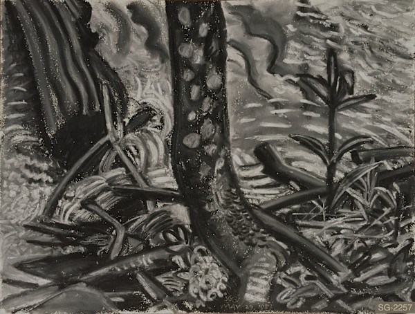 Mountain Stream by Spence Guerin