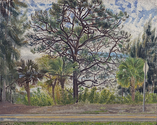Double Pine by Spence Guerin