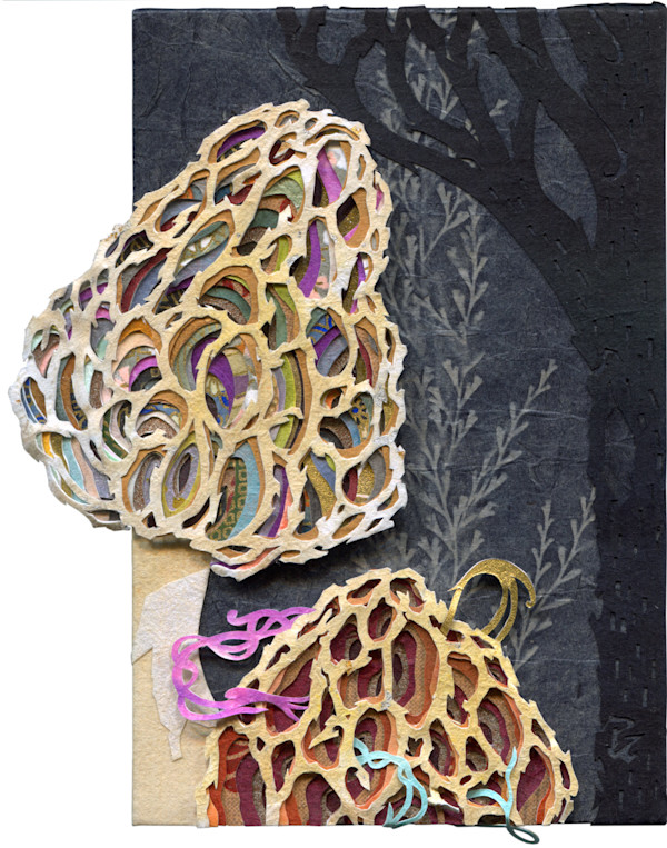 A Story of Morels by Patrick Gannon, Image 1.