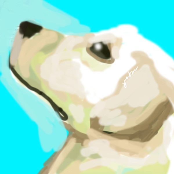 Labrador  Dog by Yvonne Cavens